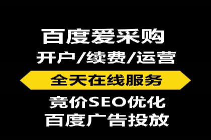 SEM服务公司助力品牌崛起案例
